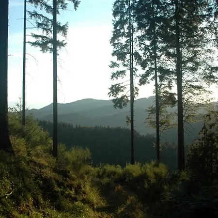 Landeckhof بيت للعطل Oberwolfach
