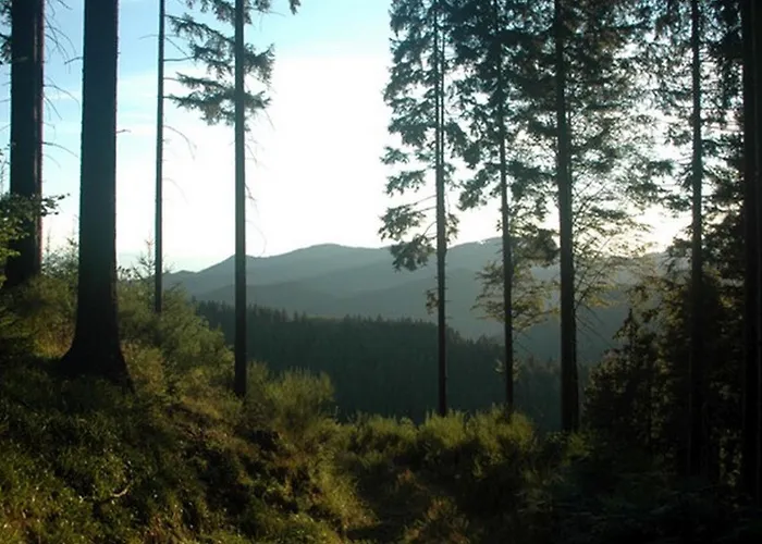 Landeckhof Сasa de vacaciones *