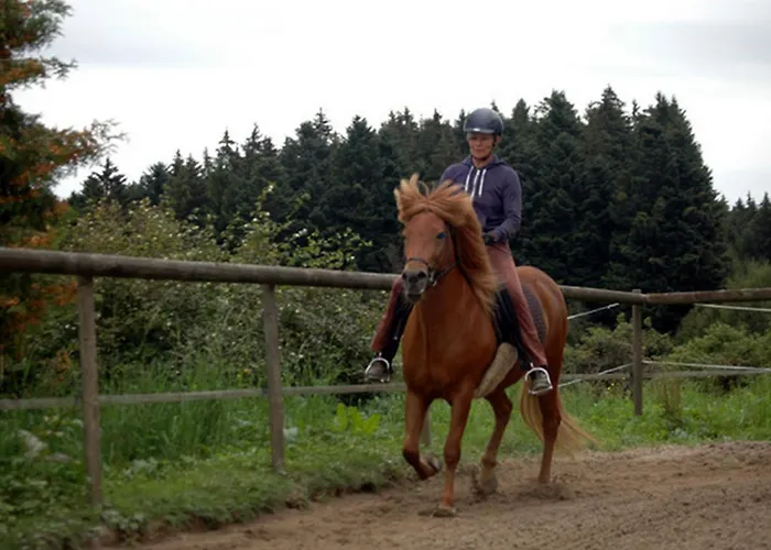 Landeckhof Oberwolfach